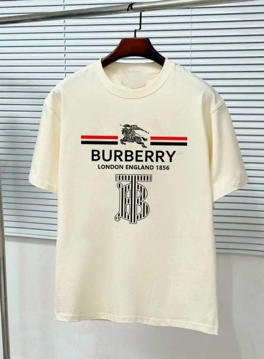 Picture of Burberry T Shirts Short _SKUBurberryS-2XL11Lr8720026
